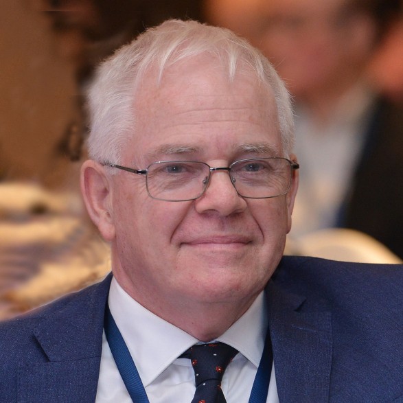Simon Marginson 3